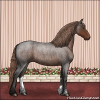 Horse Color:Liver Red Roan 