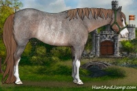 Horse Color:Liver Red Roan Sabino Rabicano 