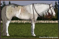 Horse Color:White Spotted Liver Red Dun Sabino