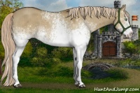 Horse Color:White Spotted Chocolate Palomino Dun Brindle