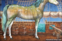 Horse Color:Watercolor Plaid White Spotted Brown Onyx