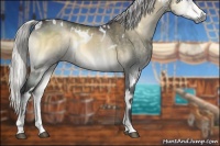 Horse Color:White Spotted Silver Buckskin Chinchilla Onyx 