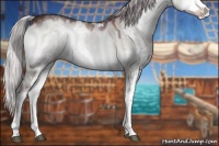 Horse Color:Chocolate Silver Grullo Chinchilla Onyx Sabino