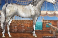 Horse Color:White Spotted Chocolate Silver Buckskin Chinchilla Ice Dun Sabino 