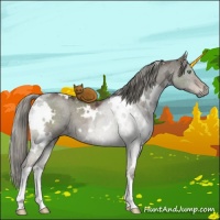 Horse Color:White Spotted Liver Red Dun Ice Mushroom 