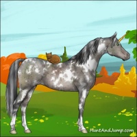 Horse Color:White Spotted Brown Ice Dun Mushroom Brindle