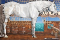 Horse Color:White Spotted Liver Red Dun Splash 