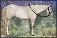 Horse Color:Liver Red Dun Roan Pearl 