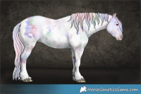 Horse Color:Nacre Watercolor White Spotted Liver Red Dun Chinchilla Pearl 