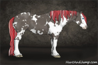 Horse Color:Painted White Spotted Silver Black Splash 