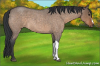Horse Color:Brown Roan Dun 