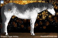 Horse Color:White Spotted Black Sabino 