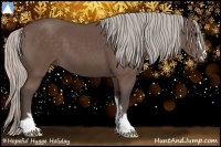 Horse Color:Silver Black Sabino 