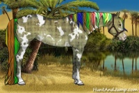 Horse Color:Painted Plaid  White Spotted Liver Red Dun Sabino Rabicano Brindle 