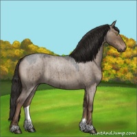 Horse Color:Liver Red Dun Roan 
