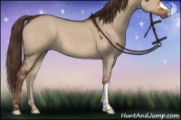 Horse Color:Liver Red Dun 