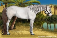 Horse Color:Liver Red Dun Roan Sabino Brindle