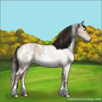Horse Color:White Spotted Liver Red Dun Roan Brindle