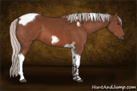 Horse Color:Silver Brown Tobiano Frame 