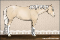 Horse Color:Silver Smoky Blue Roan Pearl 