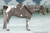 Horse Color:Silver Black Tobiano Frame 