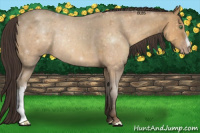 Horse Color:Sable Cream Champagne 