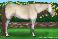 Horse Color:Classic Cream Champagne Onyx 