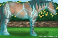 Horse Color:Thunderstruck Sable Champagne 