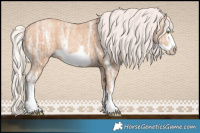 Horse Color:White Spotted Silver Classic Champagne Ice Frame 