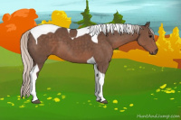 Horse Color:Silver Black Tobiano 