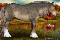 Horse Color:Chocolate Palomino Roan Rabicano 