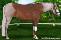 Horse Color:Silver Brown Roan Varnish 