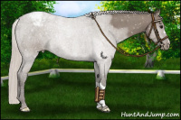 Horse Color:Silver Grullo Snowflake Varnish
