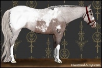 Horse Color:Silver Brown Roan Snowcap 