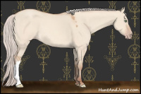 Horse Color:Silver Sable Champagne Dun 