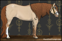 Horse Color:Red Dun Varnish 