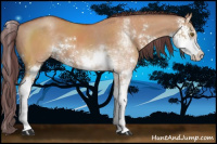 Horse Color:Chocolate Brown Dun Sabino 