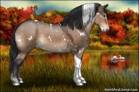 Horse Color:White Spotted Brown Dun Tobiano 