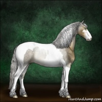 Horse Color:Chocolate Palomino Sabino Tobiano Rabicano