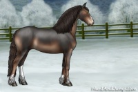 Horse Color:Liver Chestnut Sabino