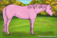 Horse Color:Watercolor Black