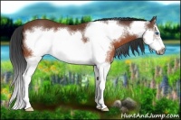 Horse Color:Brown Splash Frame 