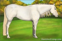 Horse Color:Buckskin Roan Pearl and Buckskin Roan Pearl