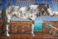 Horse Color:Gray White Spotted Liver Chestnut Sabino Rabicano