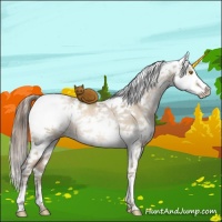 Horse Color:Brown Pearl Dun Mushroom Sabino Rabicano