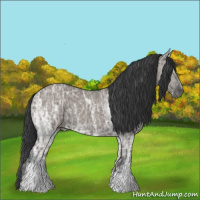Horse Color:Grullo Ice 