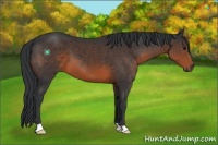 Horse Color:Brown 