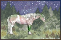 Horse Color:Watercolor White Spotted Silver Brown Chinchilla Sabino