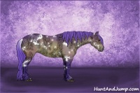Horse Color:Watercolor White Spotted Brown Ice