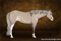 Horse Color:Silver Brown Dun Sabino 